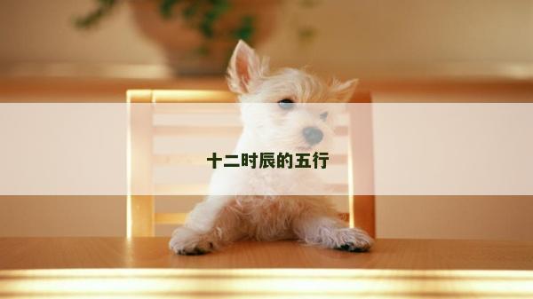 十二時辰的五行