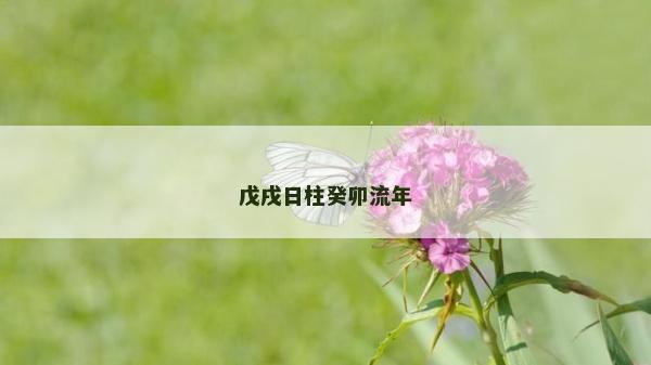 戊戌日柱癸卯流年 戊戌日柱癸卯流年
