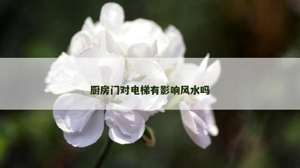 廚房門對(duì)電梯有影響風(fēng)水嗎