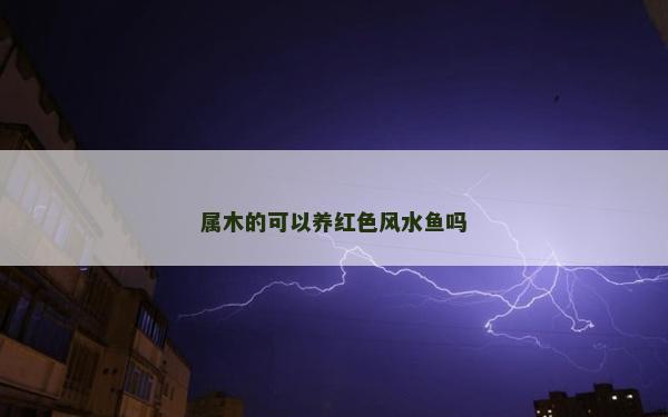 屬木的可以養(yǎng)紅色風(fēng)水魚嗎