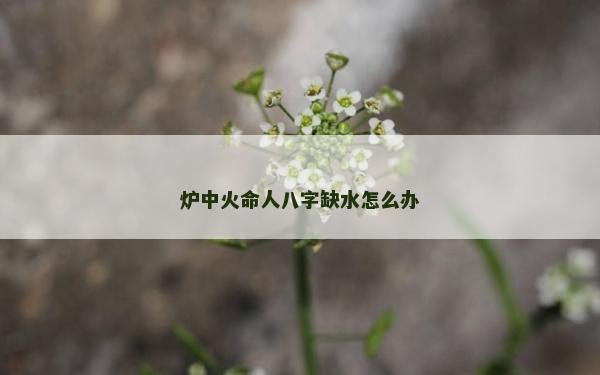 爐中火命人八字缺水怎么辦