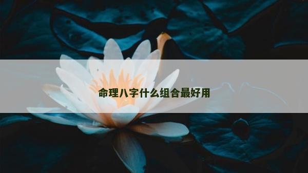 命理八字什么組合最好用