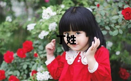 丁姓大氣文雅的女孩名字