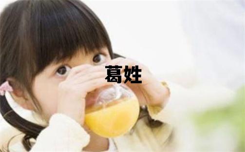 葛姓有智慧才氣的男孩名字,取什么名字好