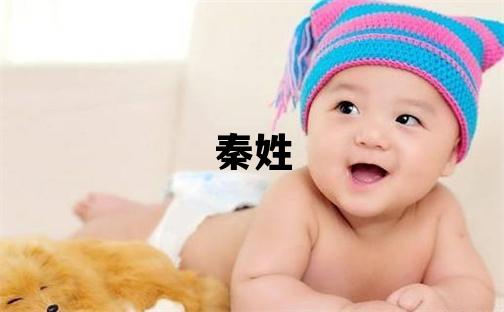 秦姓冷門獨特的男孩名字,取什么名字好