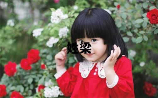 姓梁叫什么名字好 姓梁的女孩大氣文雅的名字