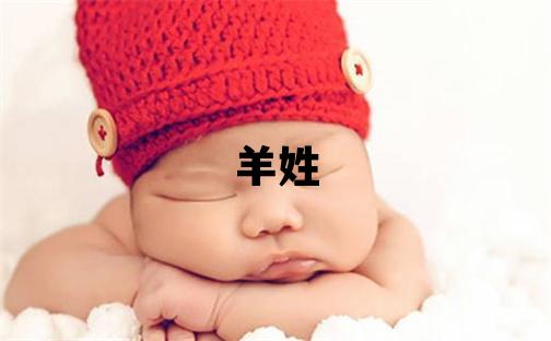 羊姓有涵養的女孩名字,取什么名字好