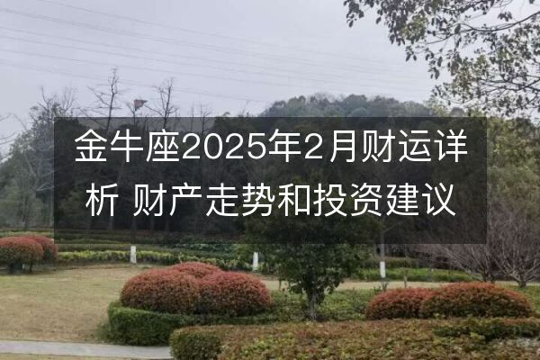 金牛座2025年2月財運詳析 財產走勢和投資建議 金牛座2025年2月財運詳析 財產走勢和投資建議